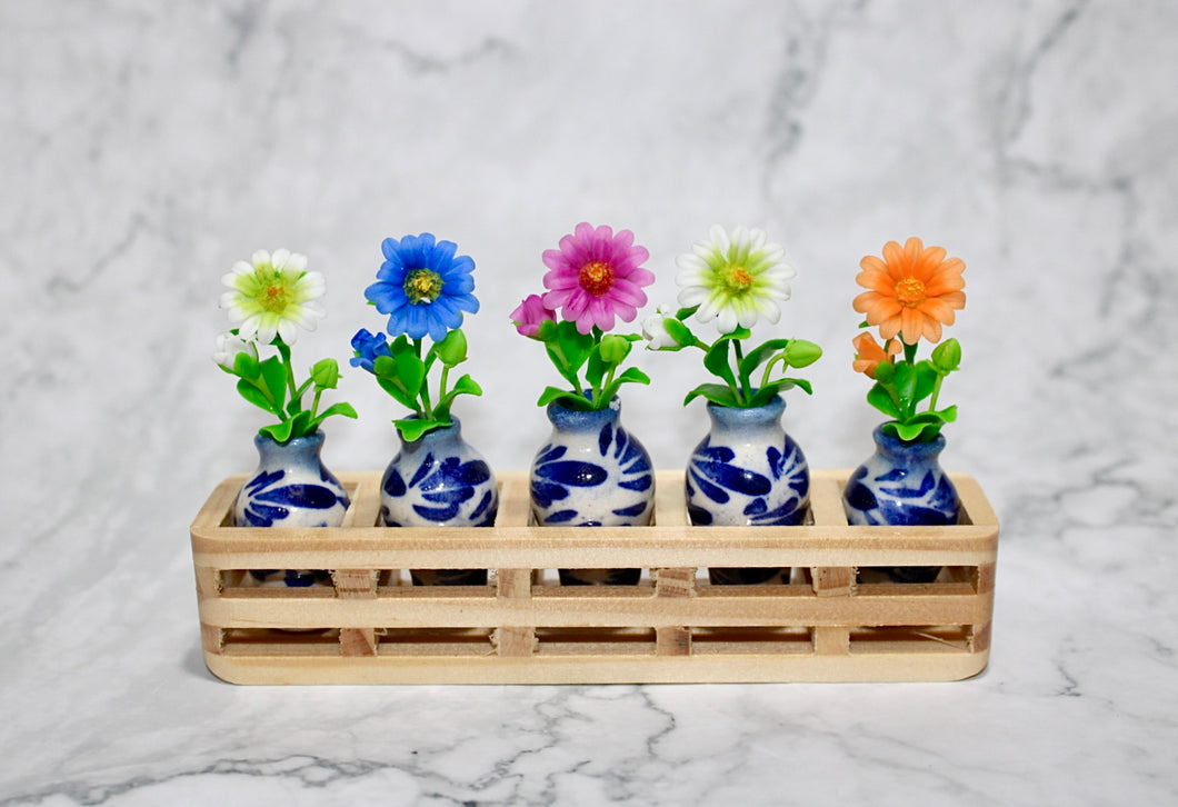 Tiny Daisy in a Vase