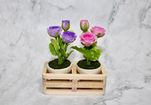 Mini Purple Rose in Ceramic Pot