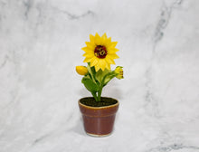 Mini Sunflower in Ceramic Pot