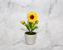 Mini Sunflower in Ceramic Pot