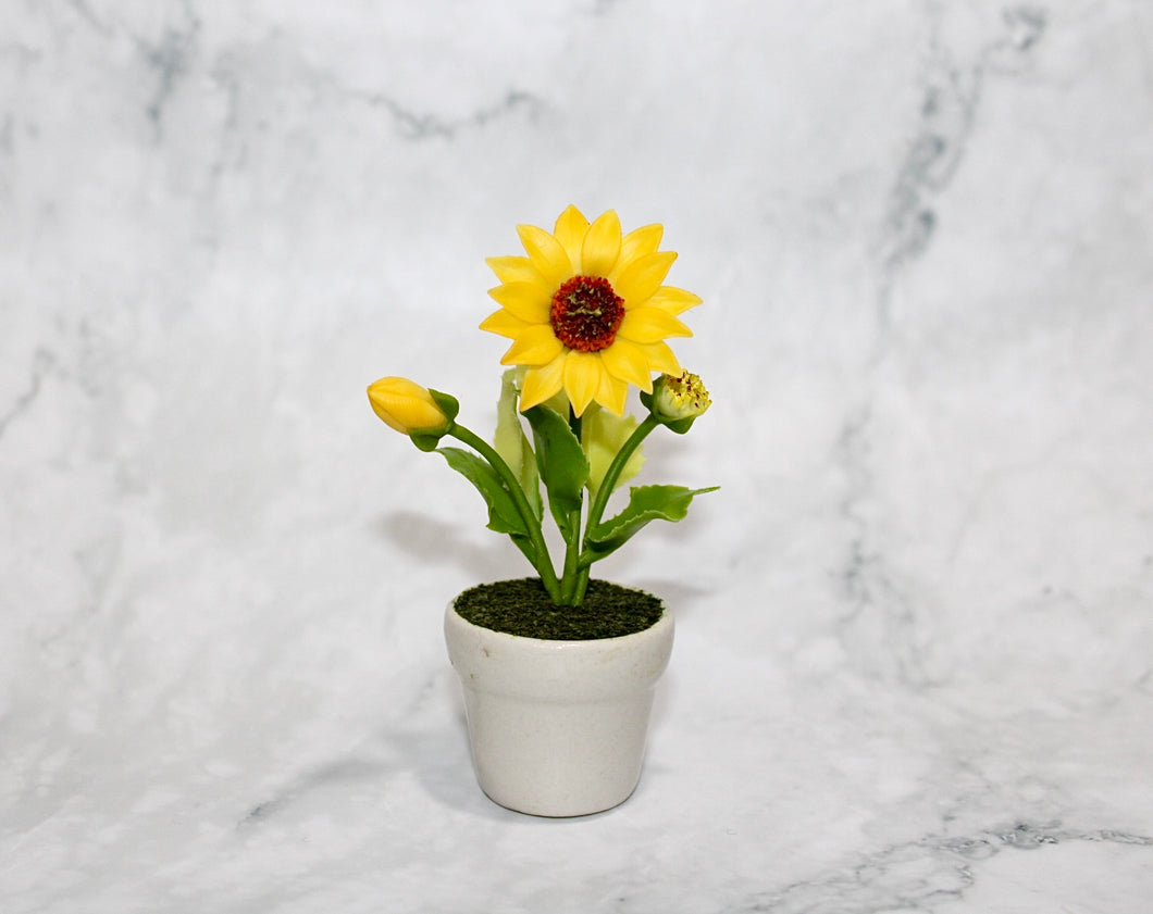 Mini Sunflower in Ceramic Pot