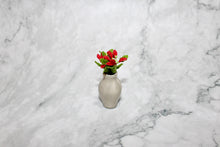 Tiny Poinsettias in a Vase