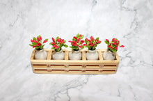 Tiny Poinsettias in a Vase