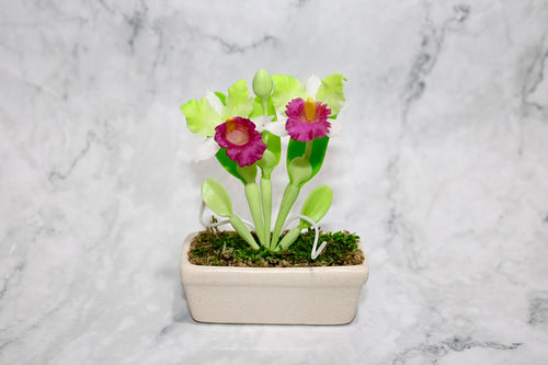 Double Flowers in Ceramic Pot