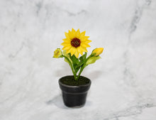 Mini Sunflower in Ceramic Pot