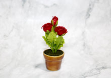 Mini Red Rose in Ceramic Pot