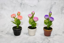 Mini Purple Rose in Ceramic Pot