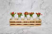 Tiny Poinsettias in a Vase